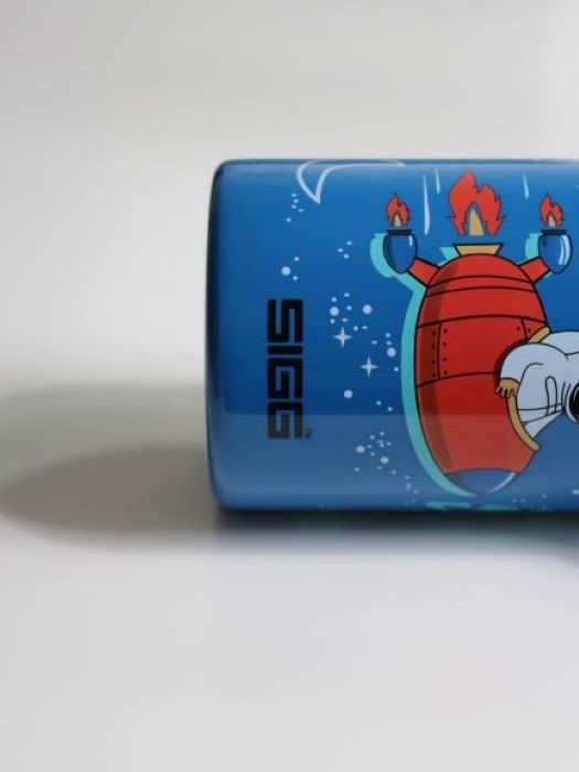 SIGG Butelka 0.5L Shield One Space