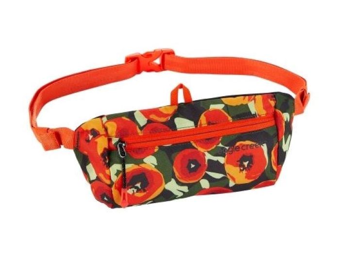 Eagle creek best sale stash waist bag