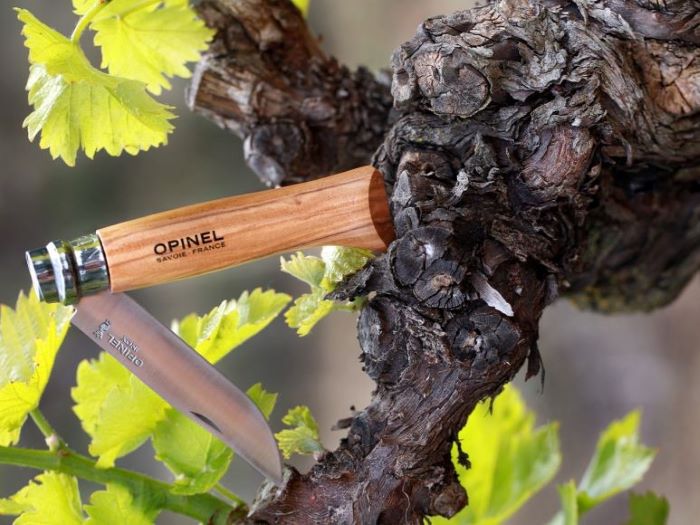 OPINEL Nóż Inox Olive 08