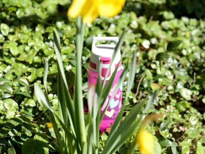 SIGG Butelka 0.5L VIVA One Hearts